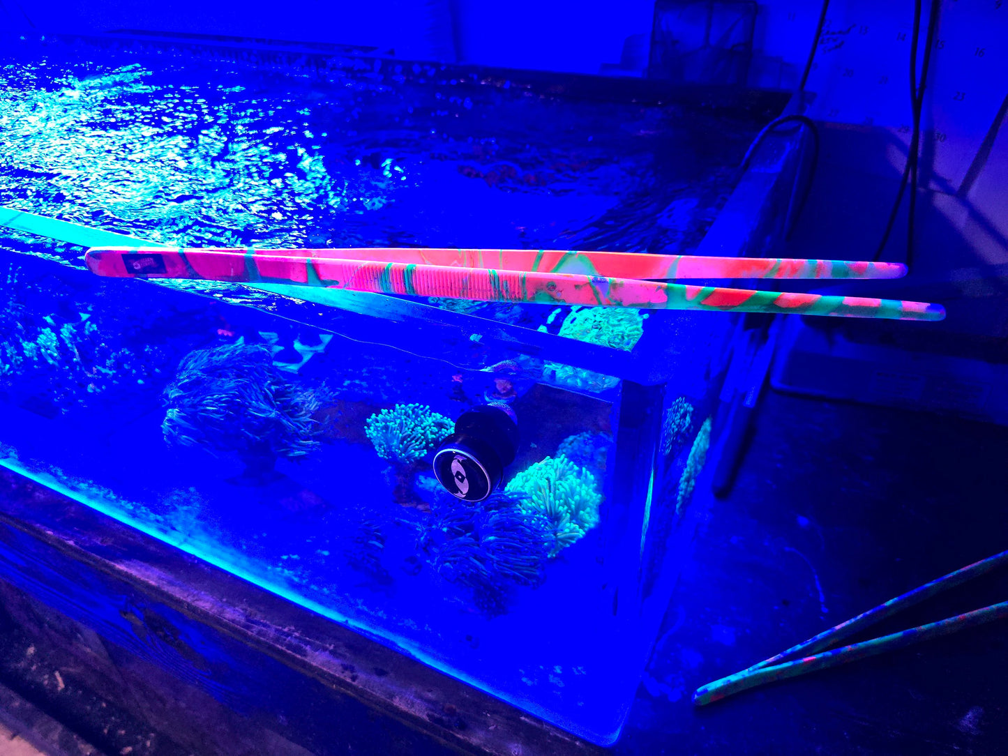 5AC Rubber Coated Reef Tongs