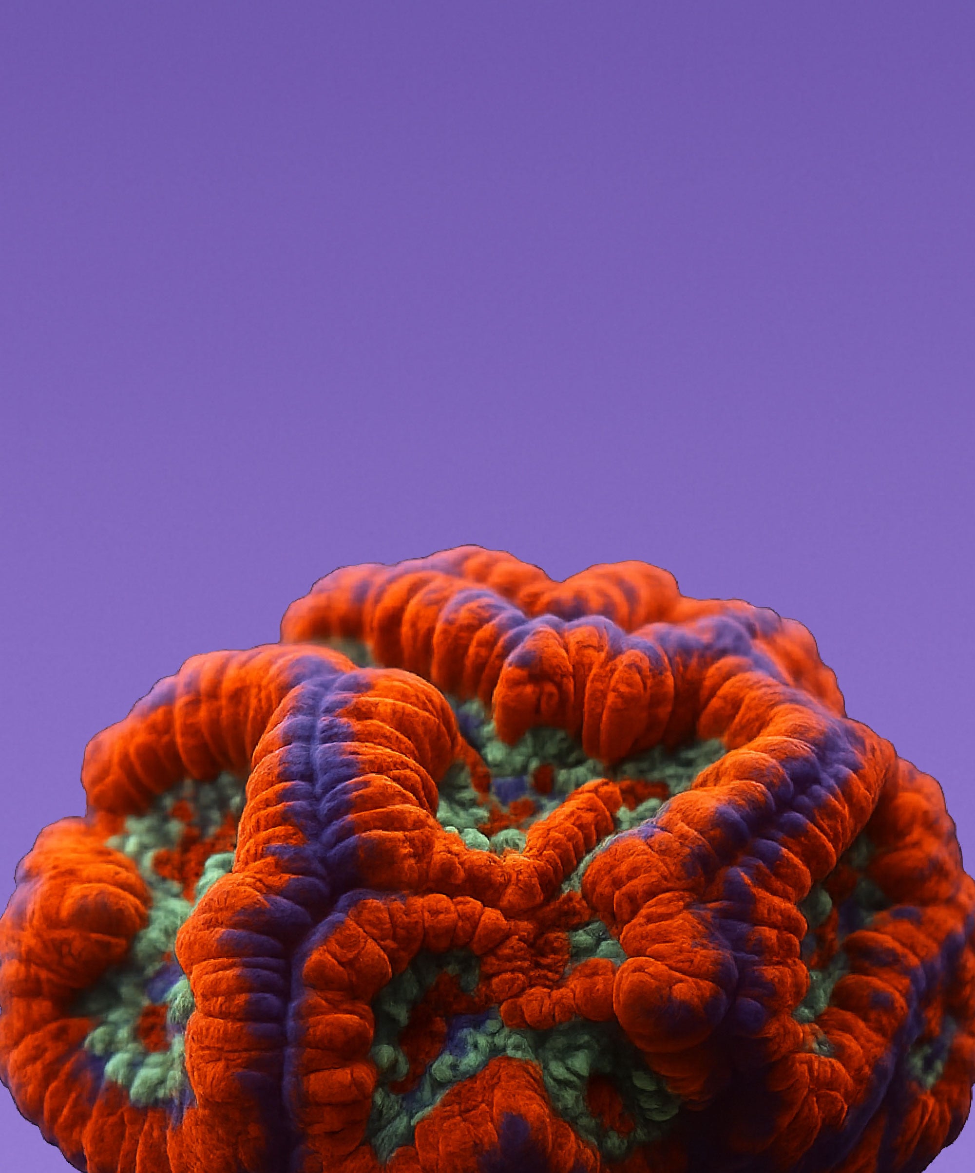 5th Alarm Corals